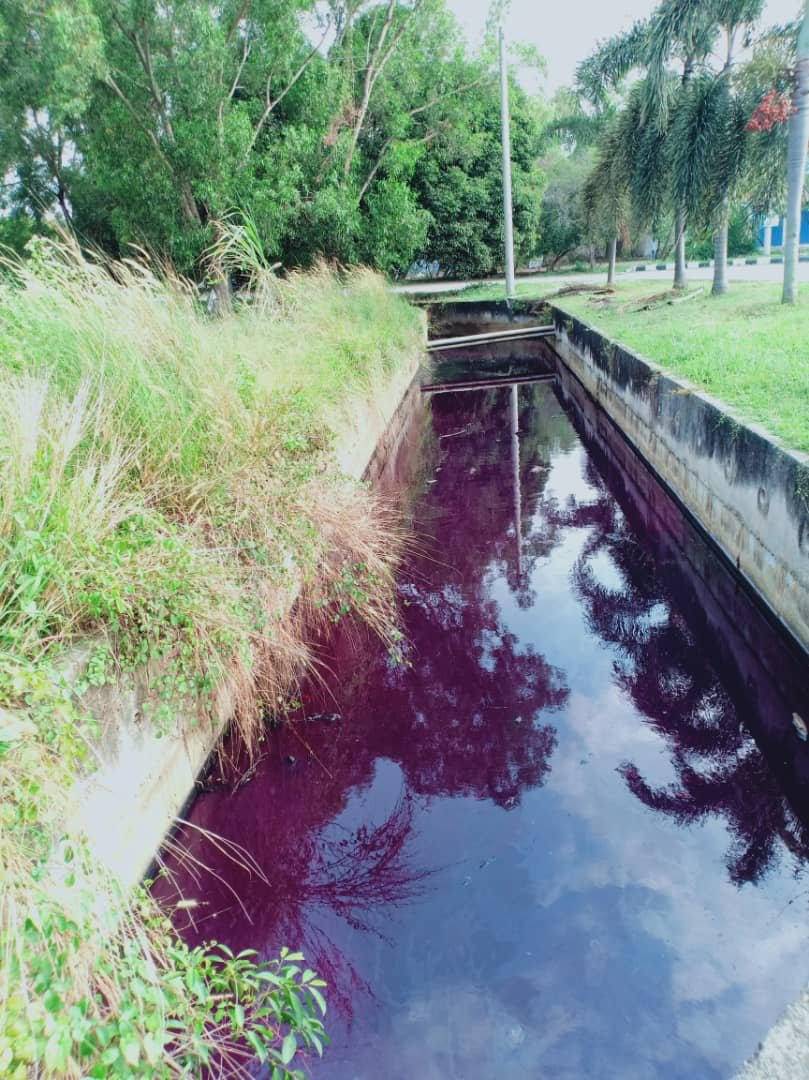 沟渠的污水异常鲜艳，整条排水沟被染成大紫色，引发 关注。