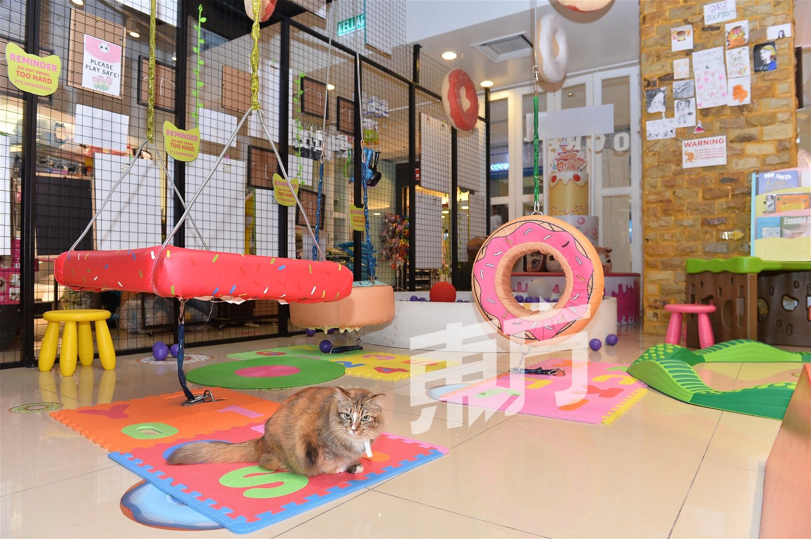 商场特别邀请进行动物治疗的商店入驻， 希望猫咪的陪伴能给自闭症患者带来安宁。