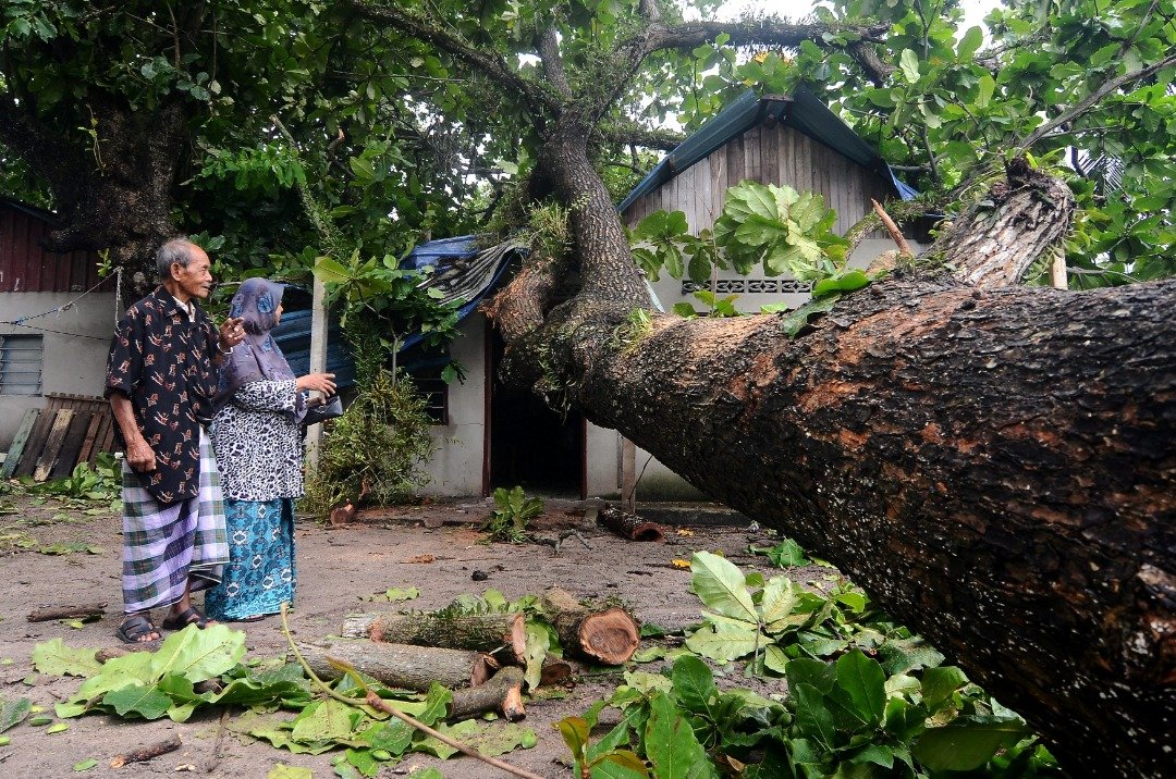 巫裔老夫妇哈欣阿末及莎比雅庆幸大树倒向民宅时，没有砸中他们。