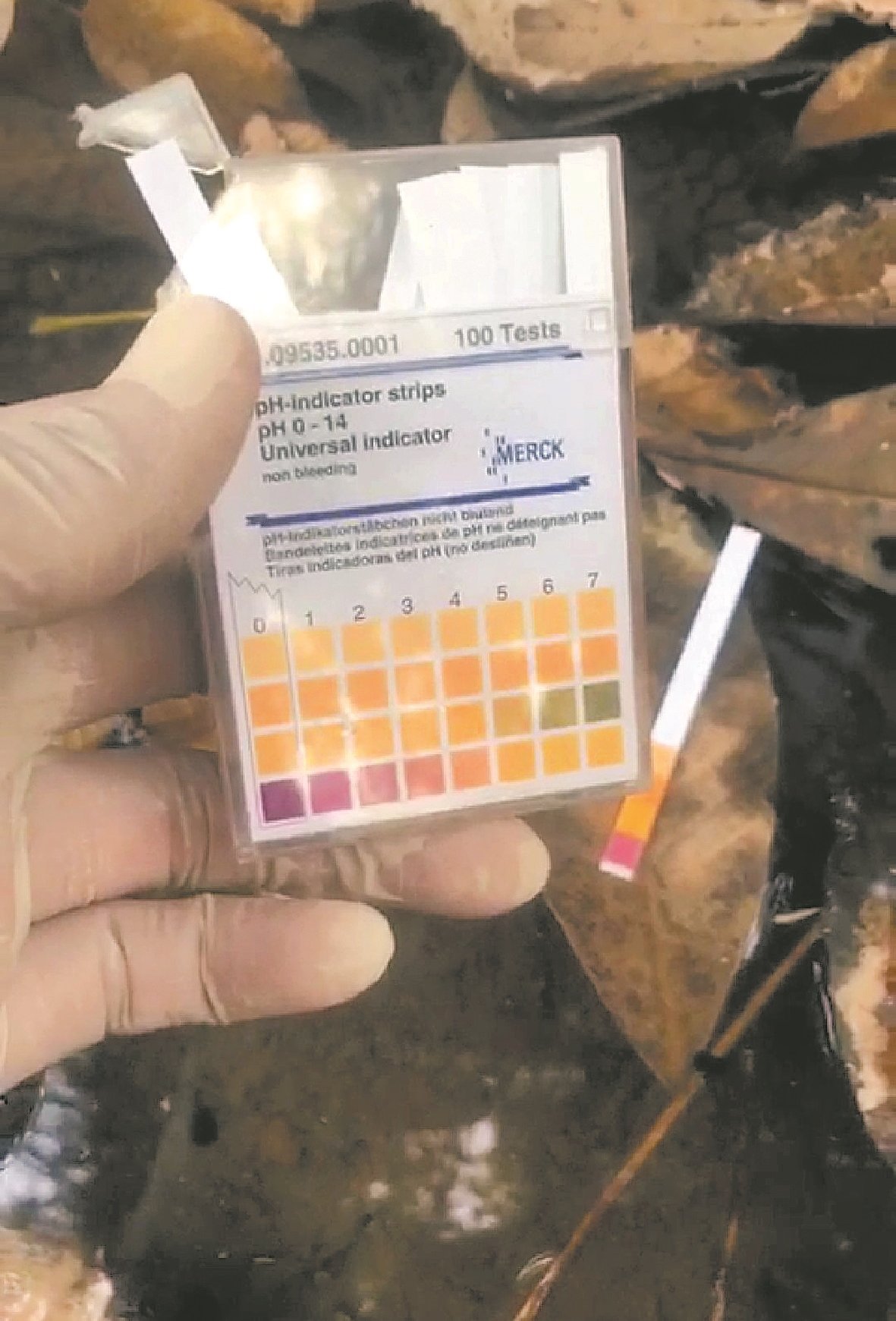 民众若质疑住家附近水源 受污染，可自行购买pH值 检验纸检测。如雪州仁嘉 隆新村村民发现沟渠水质 过酸后，进而抽取样本送 往化验，揭发水质含铅量 过高。（受访者提供）
