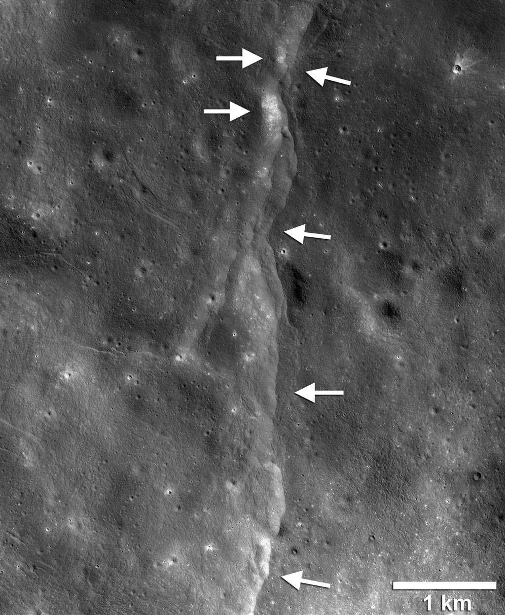 月球构造活动过程逐渐导致表面出现皱褶，由于月球外壳脆弱易碎，这些力量会导致表面在内部收缩时破裂，形成所谓的逆断层。