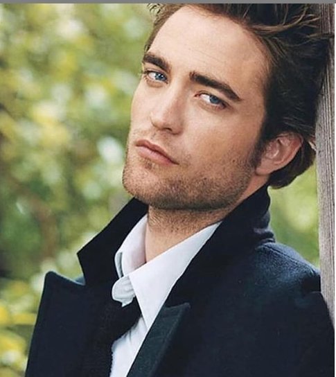 罗伯派汀森（Robert Pattinson）。