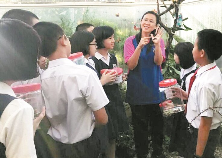 一些学校也踊跃组团到彩蝶苑参观，从中了解蝴蝶的生态，沈幼清老师则充当解说员。