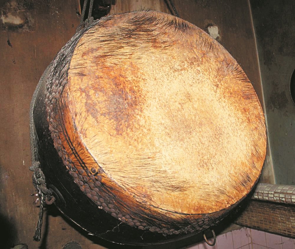 龙安岩庙内的牛皮鼓被称为“活著的鼓”，滑面的鼓皮冒出牛毛，而且越长越密，越来越长，令人啧啧称奇。