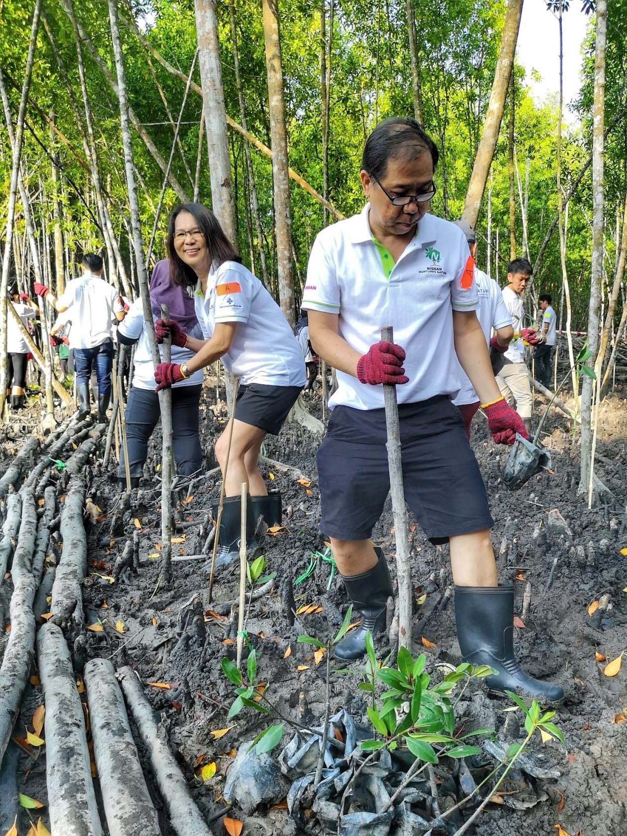 在Nissan Nurtures Nature环保活动中，参与者成功栽种了约310棵红树幼苗。