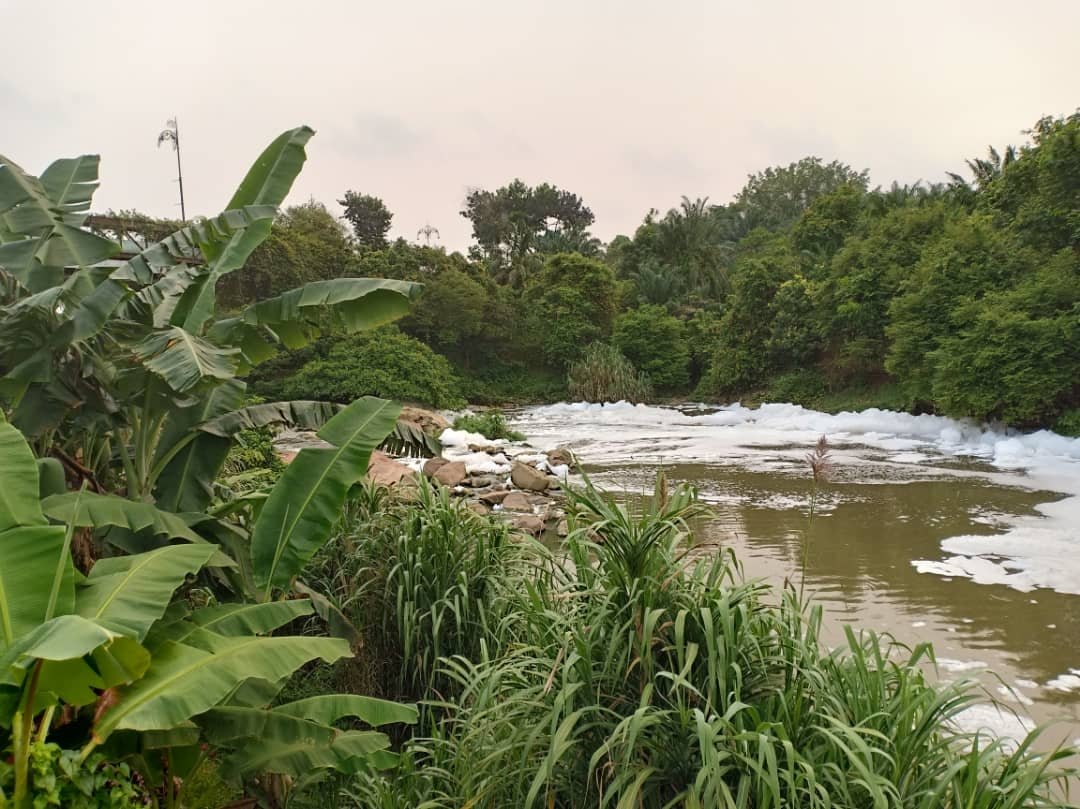 位于士乃的士姑来河周五发现河面浮现大量泡沫，疑河水受污染。
