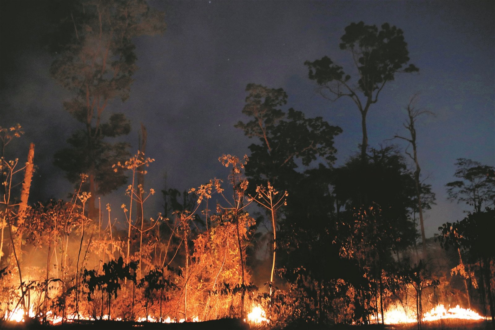 熊熊的野火正燃烧著巴西韦柳港的亚马逊丛林。由于农民使用刀耕火耨的方式进行耕作，导致林火更易发生。