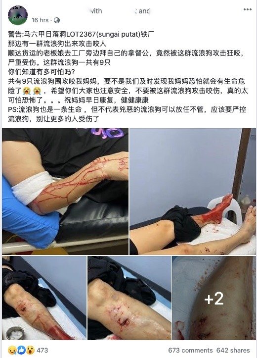 陈宝燕在个人面子书发贴文促公众警惕，照片可见其母亲陈凤娇的伤势严重。