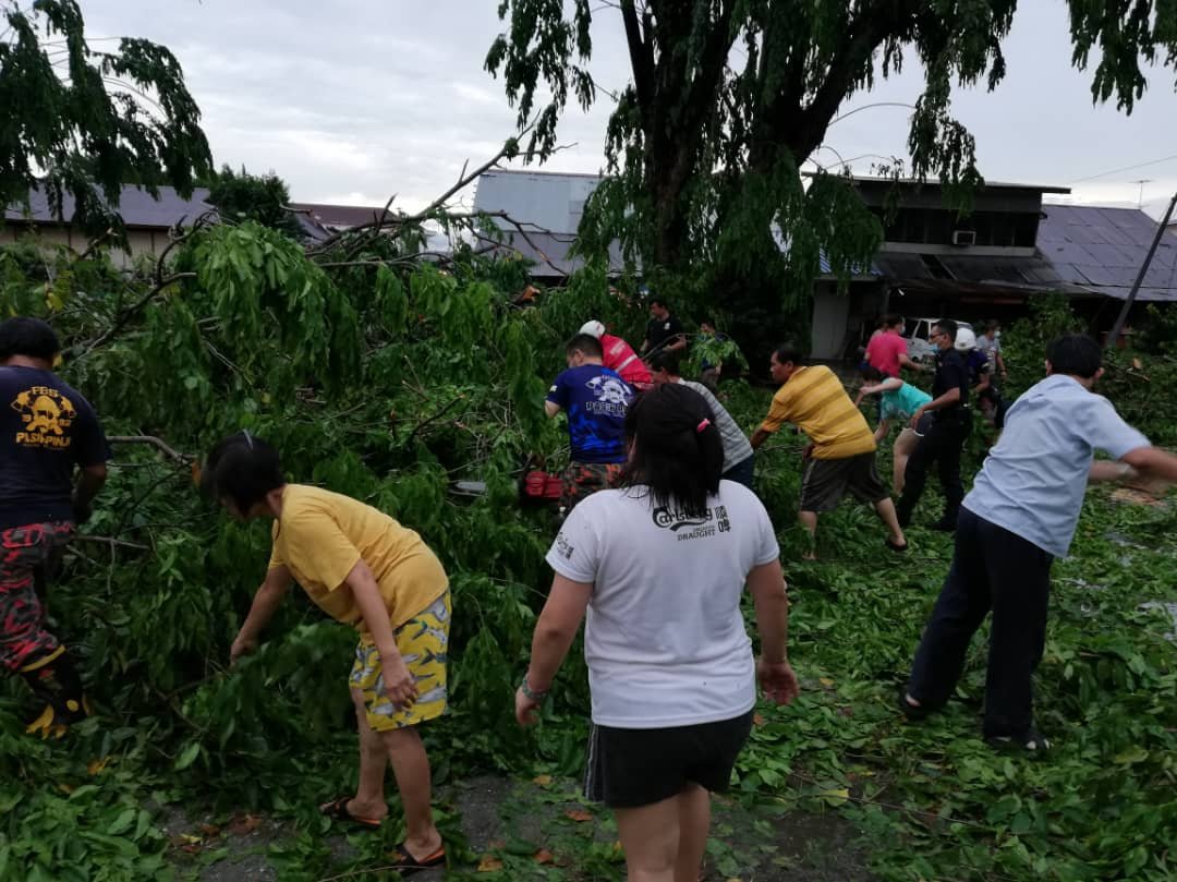 好心居民在暴风雨停后，走出户外协助消拯局清理树桠。