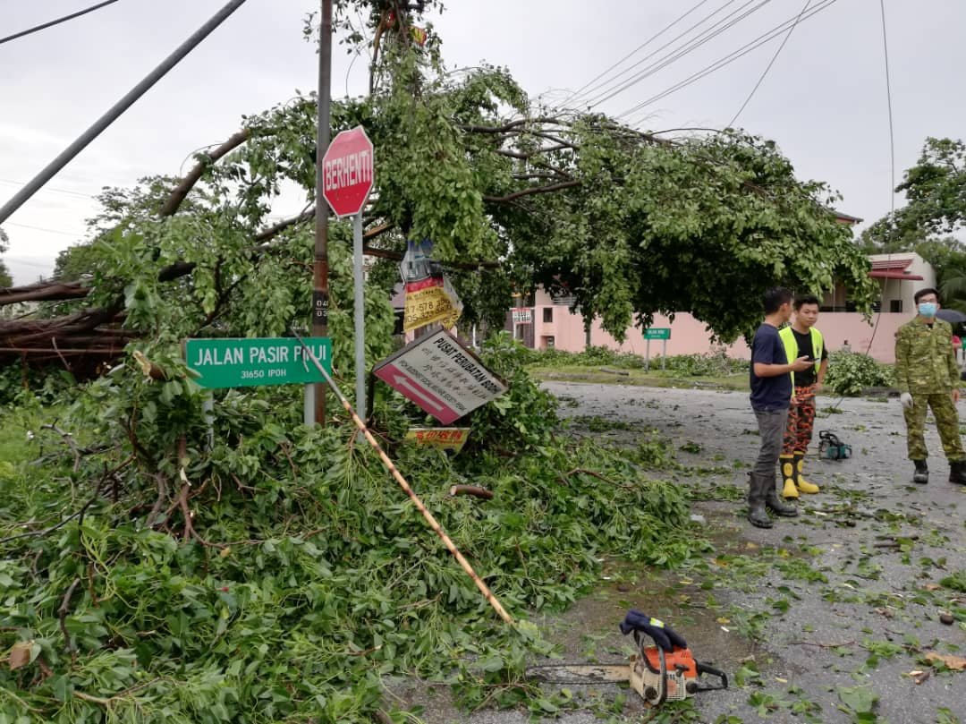 怡保周四下午时分发生狂风暴雨，多个地区发生大树应声倒下的情况。