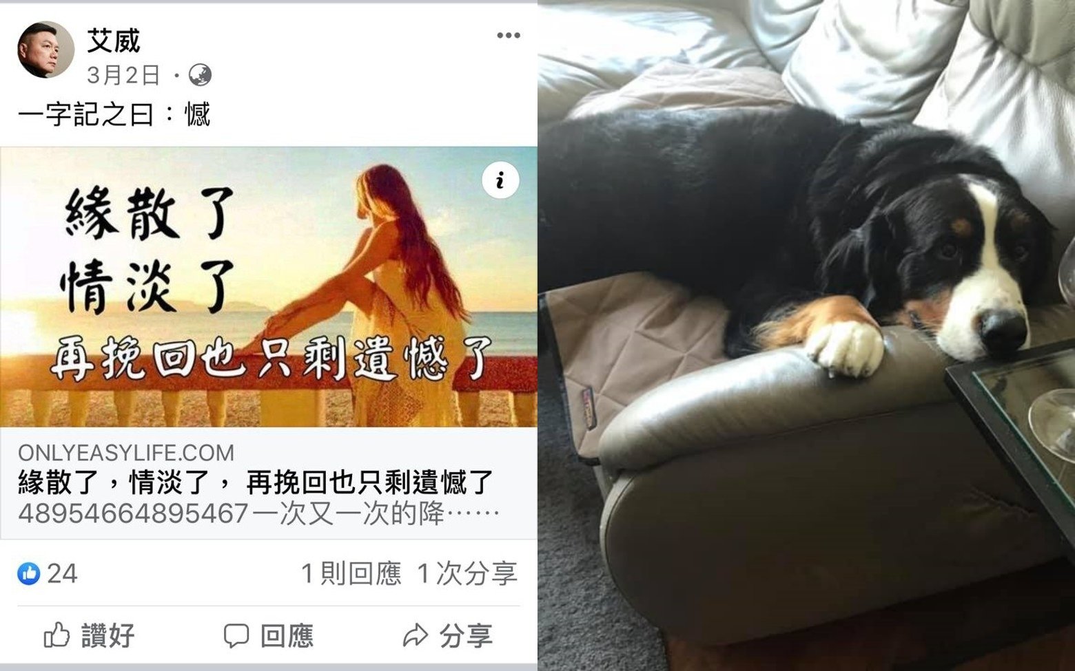 艾威的社交媒体未见太太Lisa的踪影，都是与爱犬Sashimi、缘散等文章有关。（图取自艾威面子书）