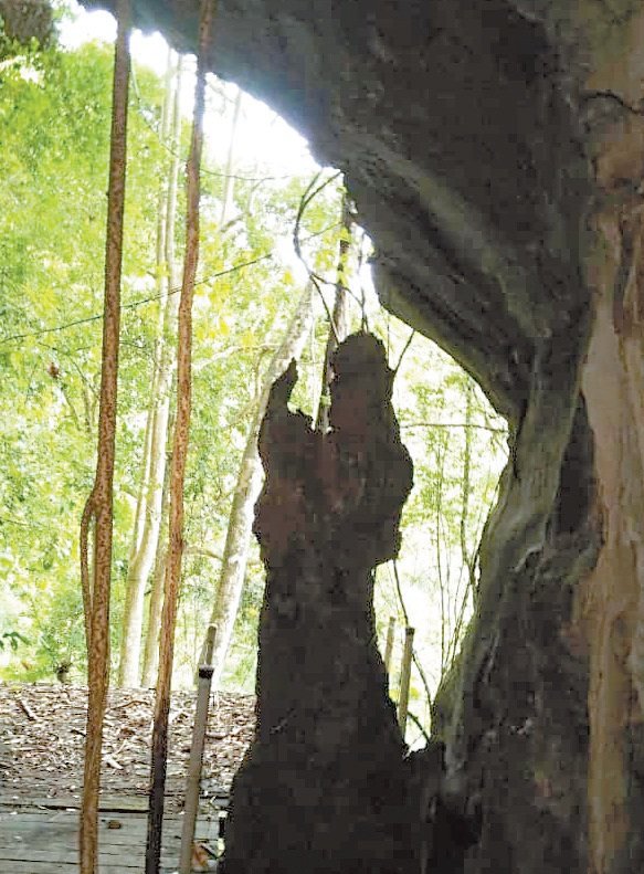 旺布洛洞中的一尊天然 神像，虽然不为岛民膜 拜，但吸引了许多游客 朝圣，是都峇岛值得探 索的景点。