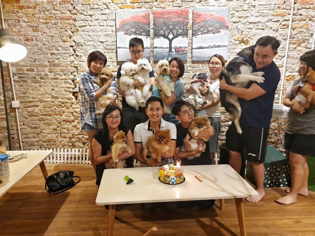 陈伟德的咖啡馆也承办狗狗生日派对。