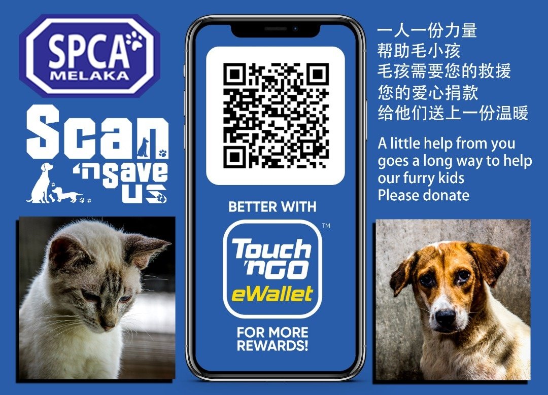 甲防虐动物协会提供电子钱包捐款，民众只需扫描二维码即可即刻捐款。