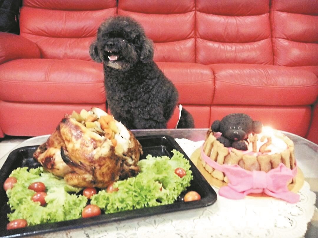 布莱恩庆祝生日的宠物烧鸡和宠物蛋糕。（受访者提供）