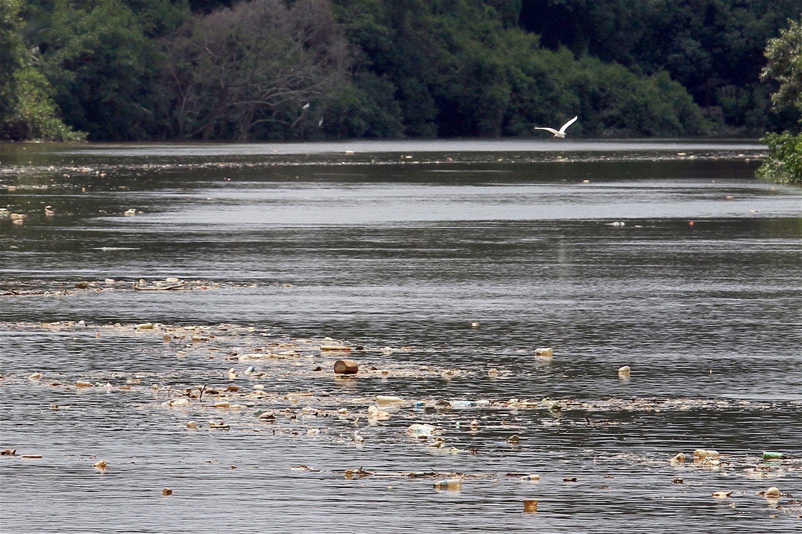 士姑来河在4月10日的情况，河面可见漂浮的垃圾。
