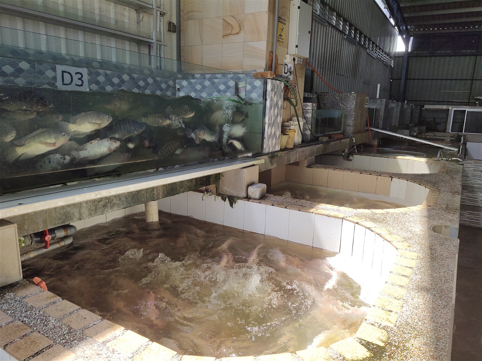 活鱼在送往冷冻食品加工厂后，通过自行研究的技术一手包办所有的冷冻食品。
