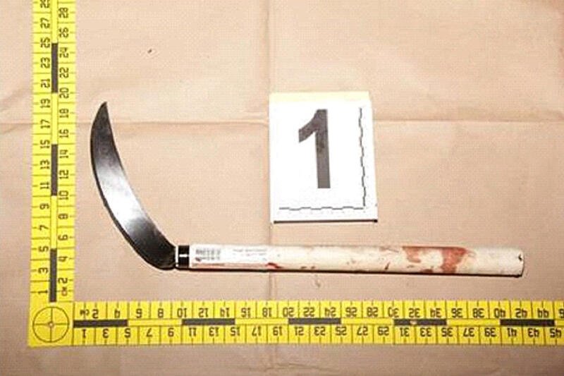 胡子男挥42公分长镰刀，追砍两名新加坡环境局稽查员。