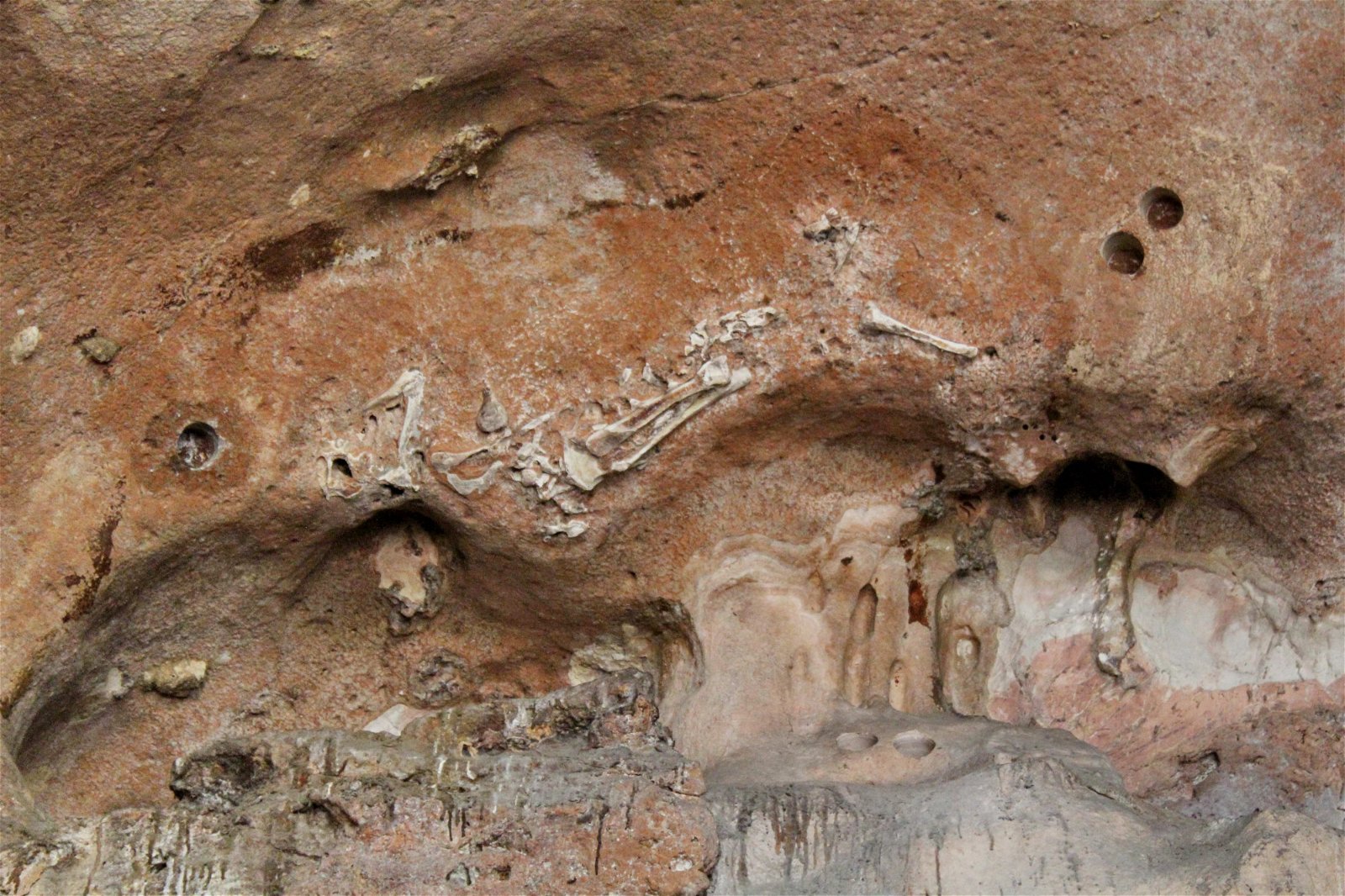 除了剑齿象化石，学者也曾在90年代于近打谷发现拥数万年历史的猫科动物化石，惟管理机构保护不当，化石已出现受侵蚀的迹象。