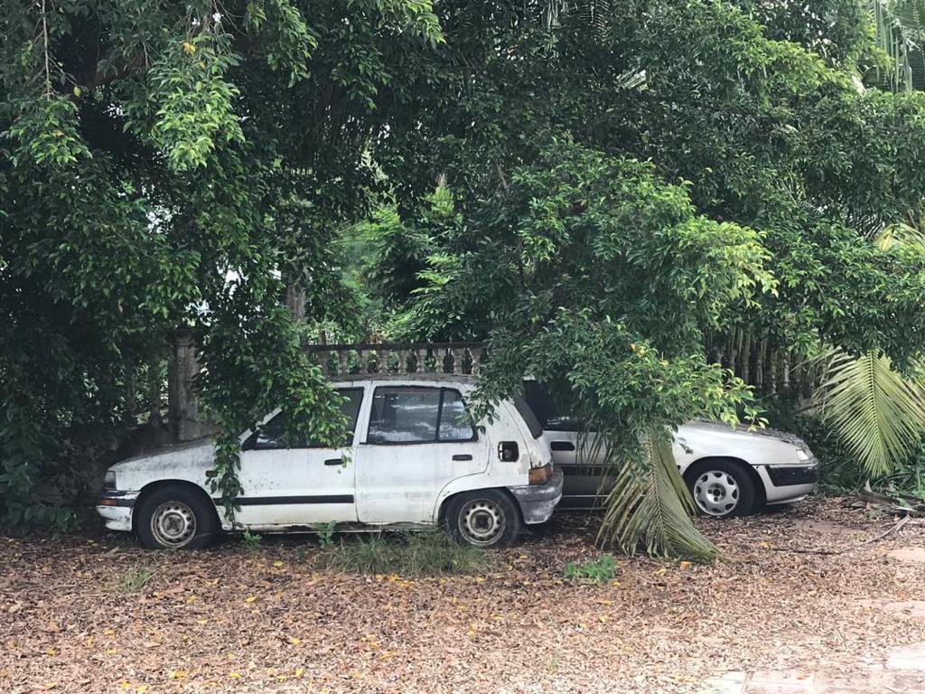 两辆相信是屋主留下的废车停放在大树下，令人担心滋生蚊虫。