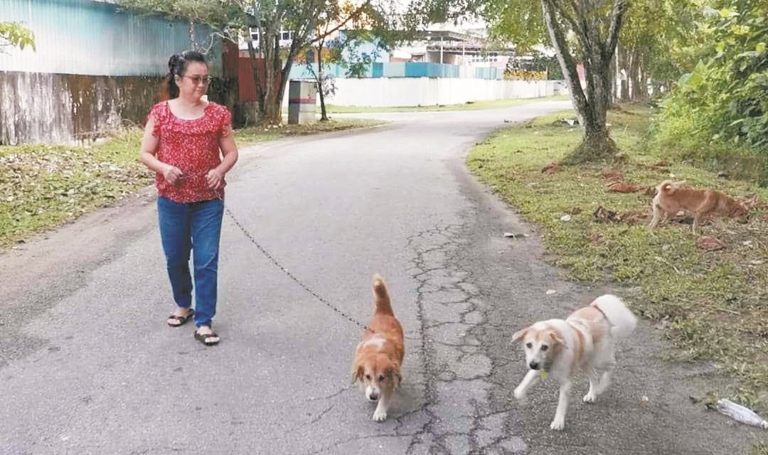 罗素伦每日都会带著爱犬在工厂附近走动，让爱犬呼吸清新的空气。