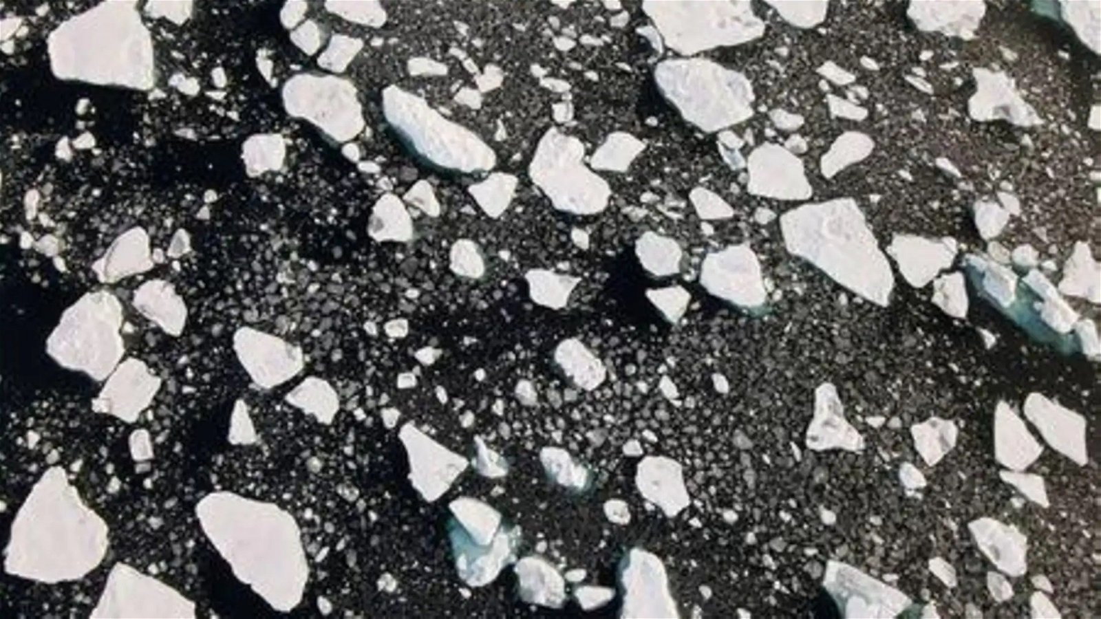 由于全球气候暖化，导致今年北极海冰面积急剧下降，这是漂浮在北极海的浮冰。