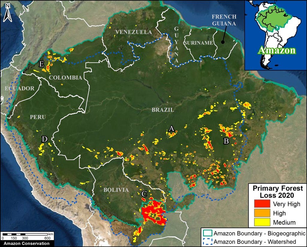 亚马逊雨林去年滥伐面积增加17%，在野火、牛只畜牧和伐木等因素影响下，大约有相当一个萨尔瓦多国土面积的雨林消失。（图取自MAAP网页）