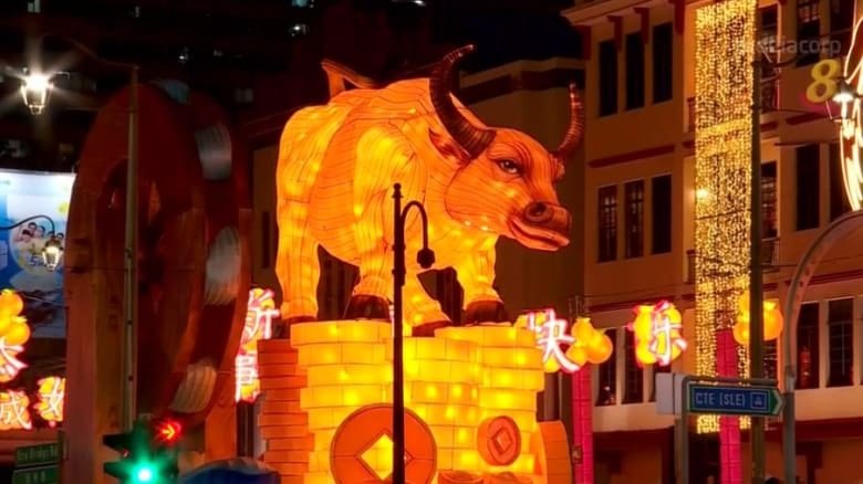 今年牛车水新春庆祝活动的10尺高金牛灯饰，金牛站在金币上，象征著财富与富贵。