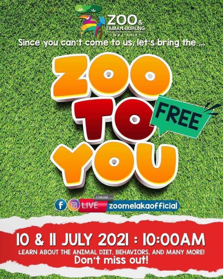 马六甲动物园周末线上直播导览，让民众有不一样的周末体验。