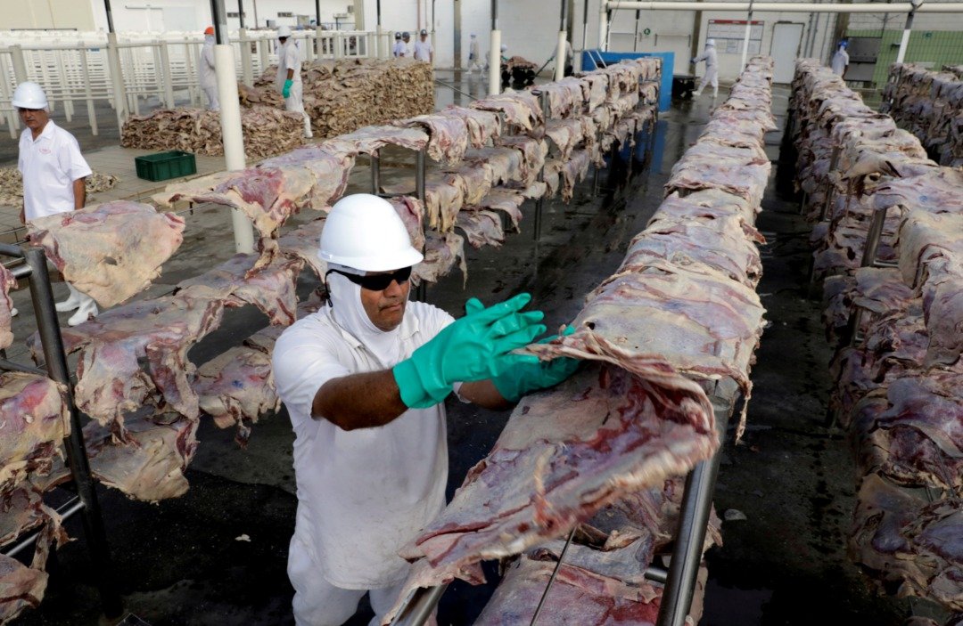 在巴西圣安娜-迪巴纳伊巴的一家JBS工厂，工人们正在涂抹咸肉，将其晒乾然后包装的档案照。（图取自路透社）