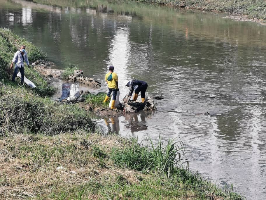 承包商在河中清理死鱼。