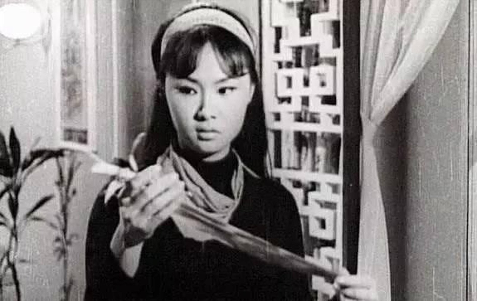 1966年电影《女黑侠木兰花》是雪妮的代表作。
