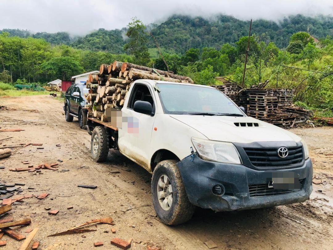 霹雳州森林局充公一辆载有橡胶木和榴梿木的四轮驱动车调查。