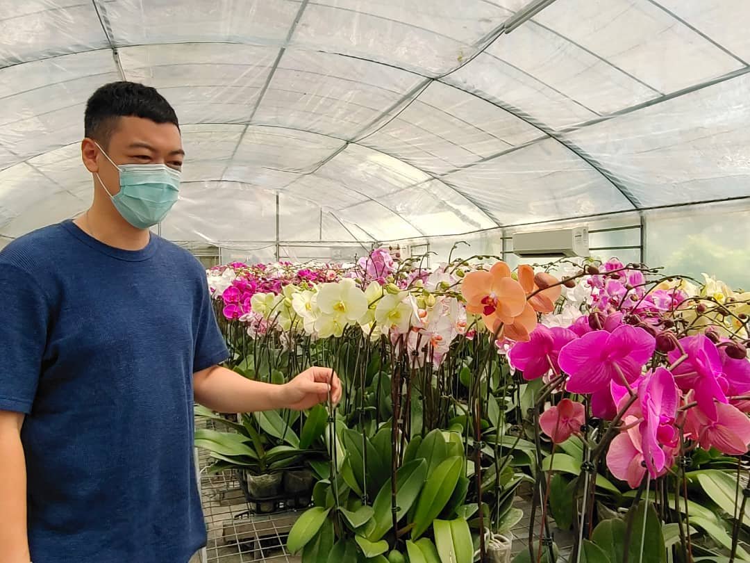 黄智辉称，由于兰花多样化、颜色鲜艳，所以令他非常喜爱之余，也繁殖形形色色的兰花。