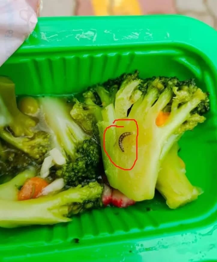 客工申诉伙食不卫生，在饭盒里吃到虫子。图：取自《新加坡万事通》微信