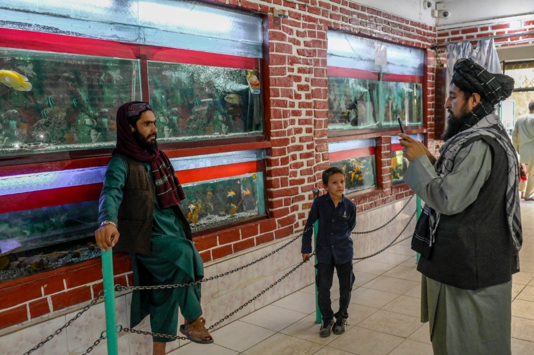一名塔利班成员上周五在喀布尔动物园的水族馆前合影留念。（图取自法新社）