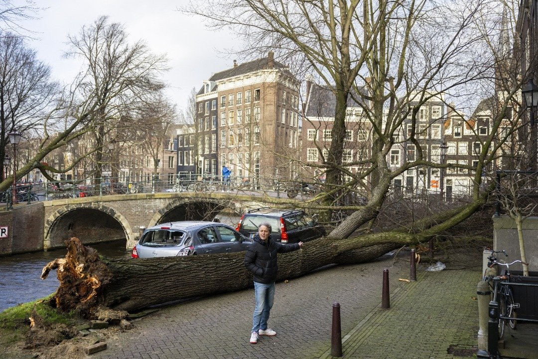 “尤尼斯”风暴经过荷兰时，在阿姆斯特丹运河岸边，大树被狂风拔起倒下，导致两人死亡，图为一名路人经过一棵倒下的树。（图取自法新社）