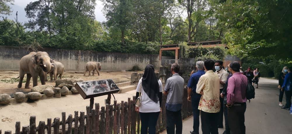 太平动物园基于疫情已改善，动物园又增加新成员，加强旅游号召力，因此，放眼今年游客人数能达108万人。