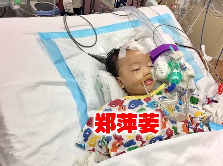 郑萍荌左脑溢血，医生在紧急状况下两度为她开颅手术，目前情况受控观察中。