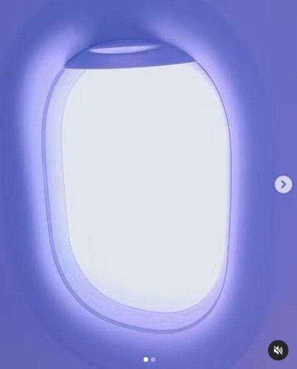 从麦莉在社交网上上分享的影片中，飞机舷窗被闪电照亮，还可以听到乘客紧张的喘息和惊呼声。