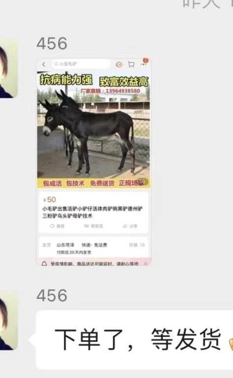 上海微解封后禁止民众使用交通工具，有人想到团购驴来代步。（图取自微信截图/台湾《联合报》）