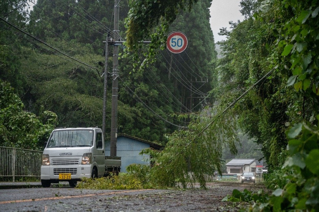 台风“南玛都”侵袭日本，在当地造成灾情。在鹿儿岛县和泉市，一辆汽车经过一棵倒下的树。（图取自法新社）