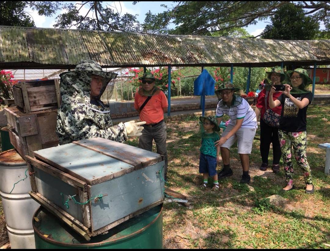 胡艾薇与峇株巴辖的育虹百草园合作，在园内设置不同的蜂巢，供预约民众前来了解蜂业生态。