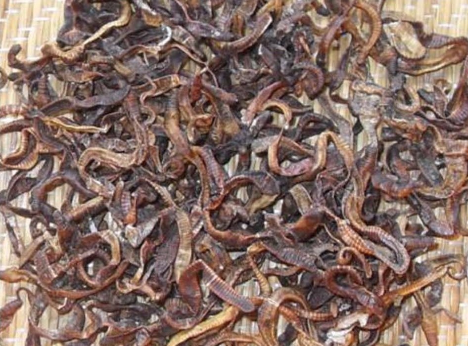 蚯蚓被清理做成乾后，在传统中国医学上可以入药，被称作“地龙”。（图取自网络）