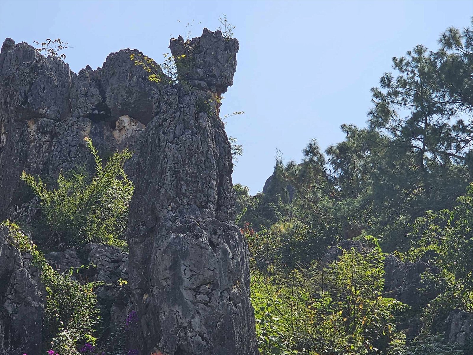 石林内有个石柱，从侧面看，就如唐三藏。
