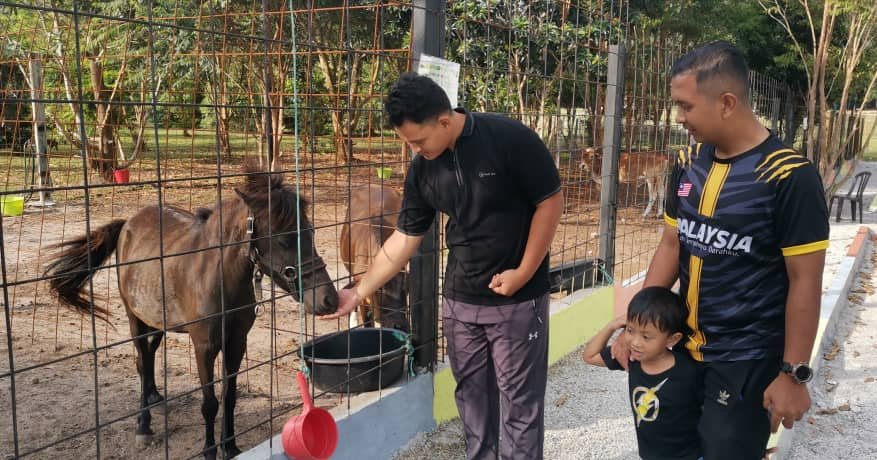 游客参观直落峇迪宠物动物园，将有机会感受喂食动物的乐趣。