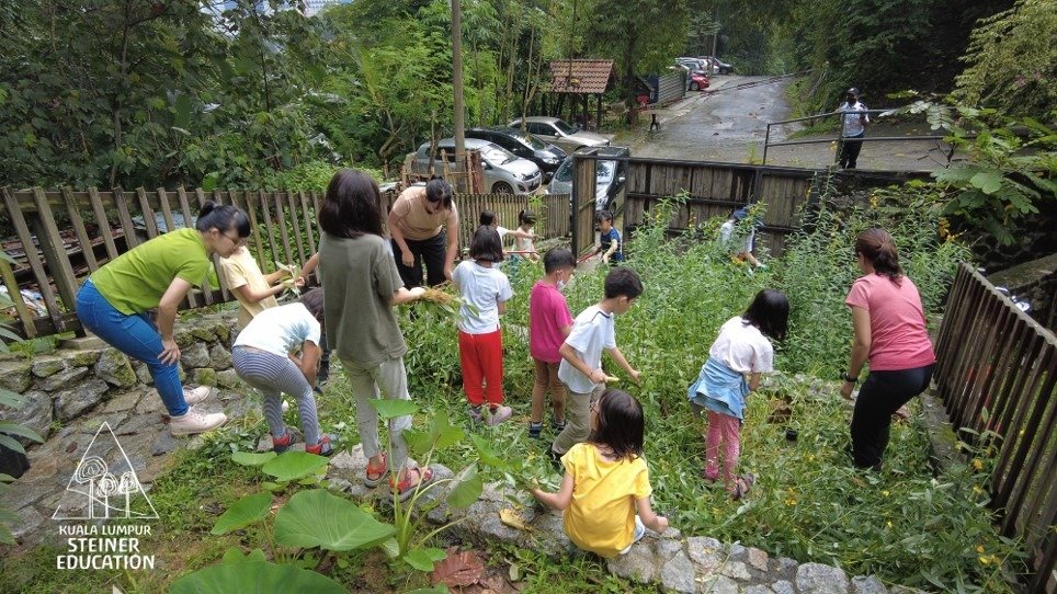 善用校园的空间，原本流水的梯级被改造为种植空间，让孩子们体验种植稻米和蔬菜。