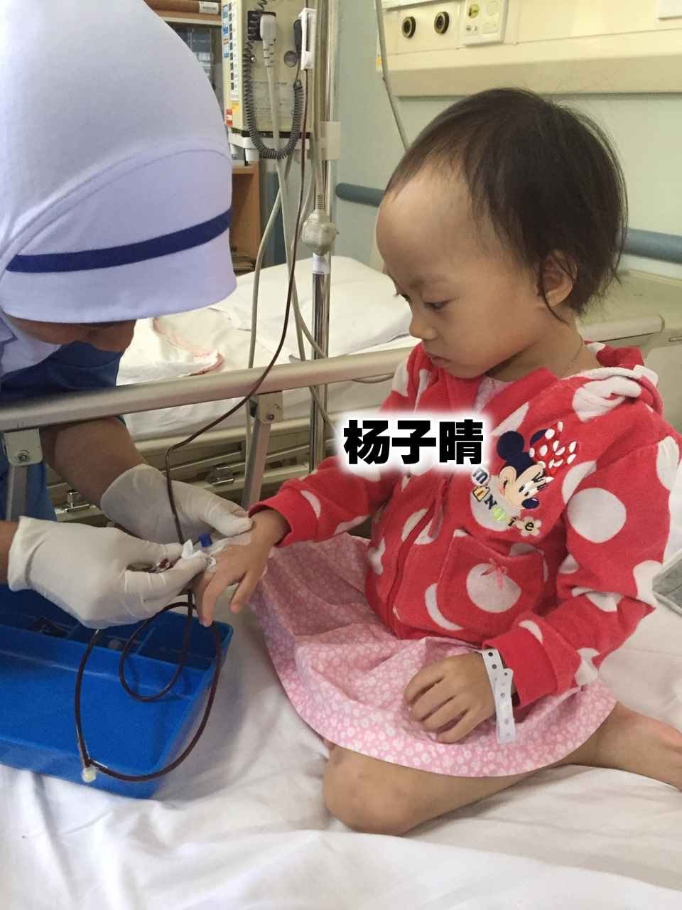 杨子晴在未满2岁时，就开始经常到医院输血。