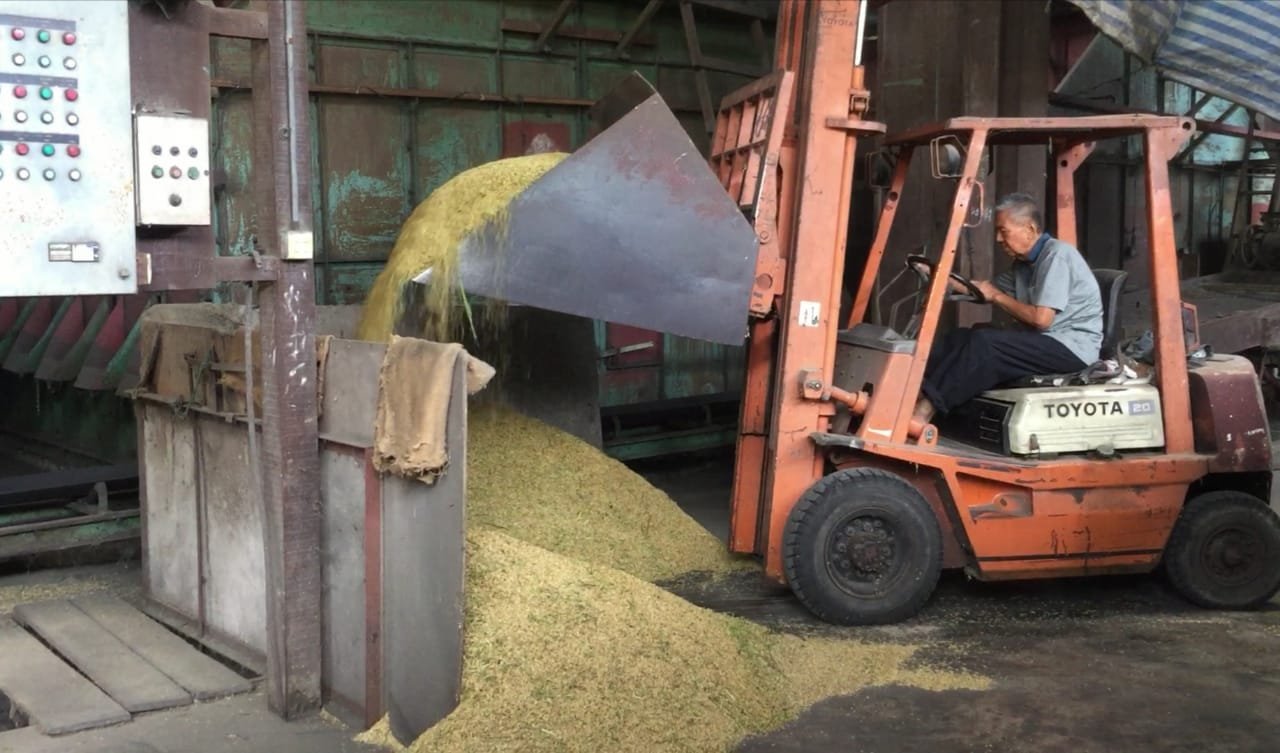 稻谷收割后必须送往米较处理，包括烘干与脱壳。