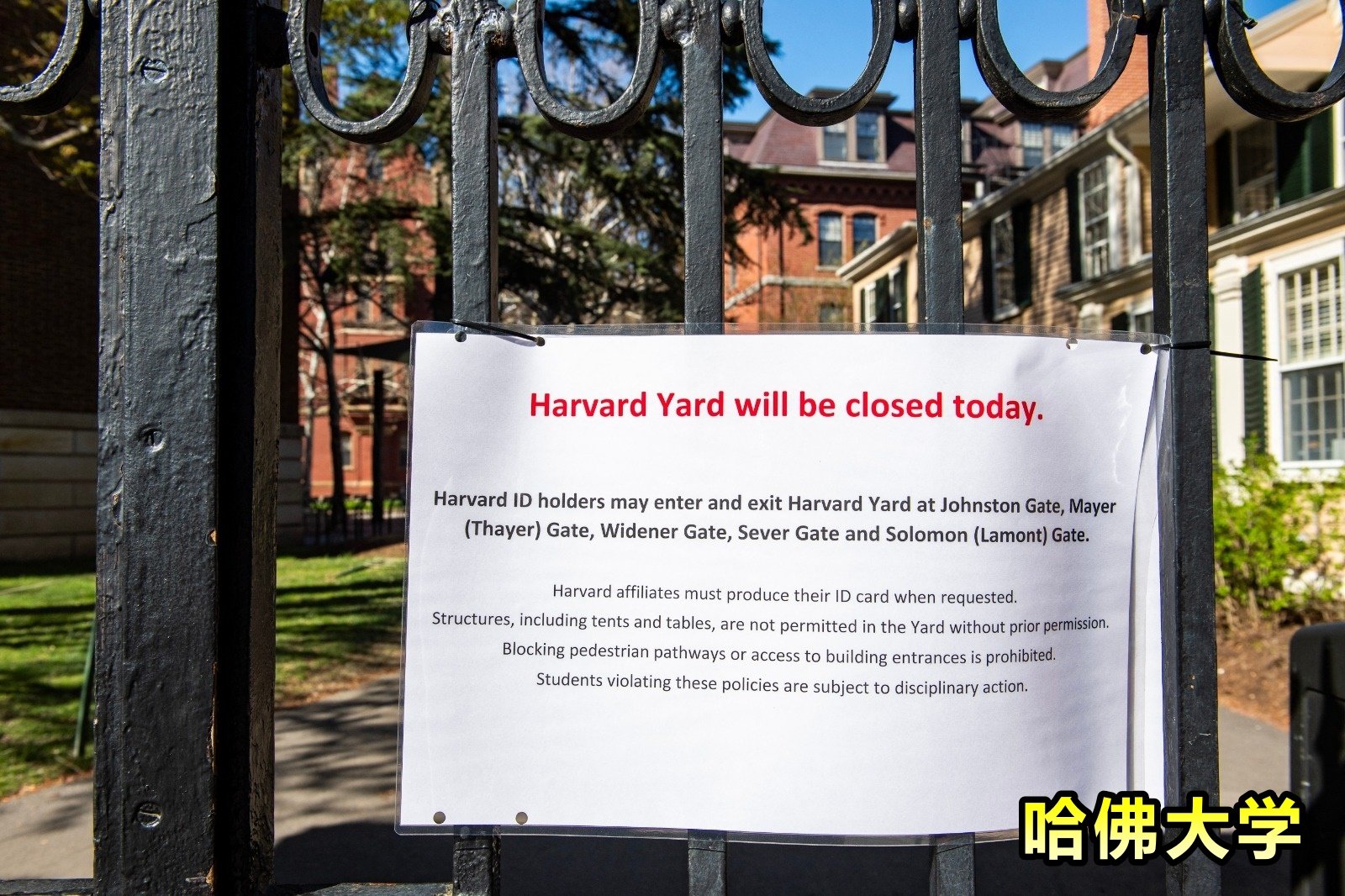 随著针对以色列对加沙哈马斯进行报复性袭击的抗议活动在校园愈演愈烈，哈佛大学的大门上当地时间周一出现一个标志，禁止在校园内设立营地。（图取自法新社）